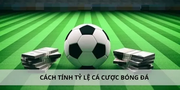 Khám Phá Hệ Thống Cá Cược Bóng Đá EE88 Với Trải Nghiệm Chơi An Toàn Và Uy Tín
