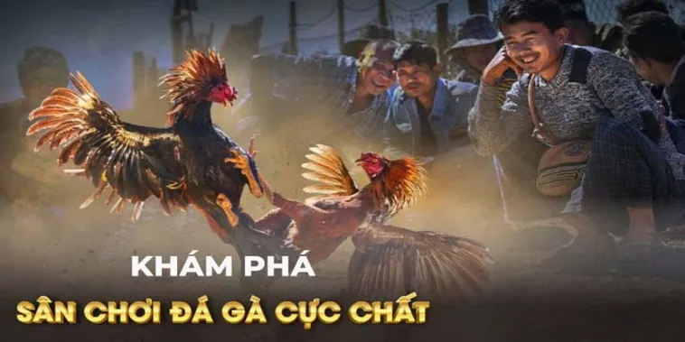 Hướng Dẫn Cách Chơi Đá Gà GA28 Tại EE88 Chuẩn Xác Và Chi Tiết Nhất