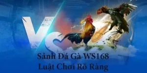 Cách Chơi Đá Gà WS168 Tại EE88 Chi Tiết Và Hiệu Quả Cho Người Mới