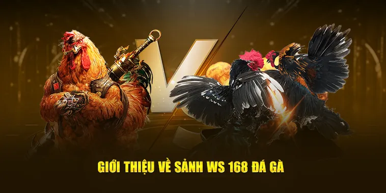 Cách Chơi Đá Gà WS168 Tại EE88 Chi Tiết Và Hiệu Quả Cho Người Mới