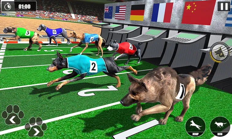 Cách Chơi Game Nhanh Đua Chó Tại EE88 Chuẩn Xác Nhất 2026